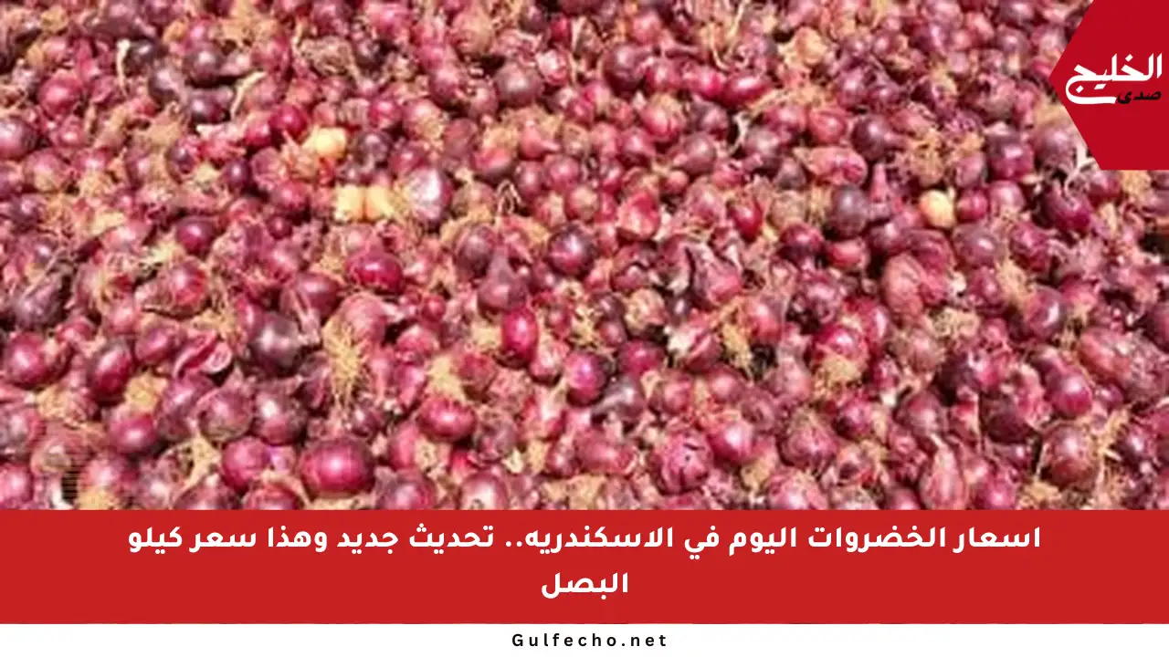 أسعار الخضروات اليوم في الإسكندرية.. تحديث جديد وهذا سعر كيلو البصل